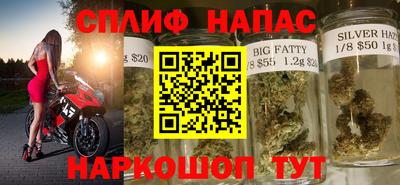 мдпв Донской